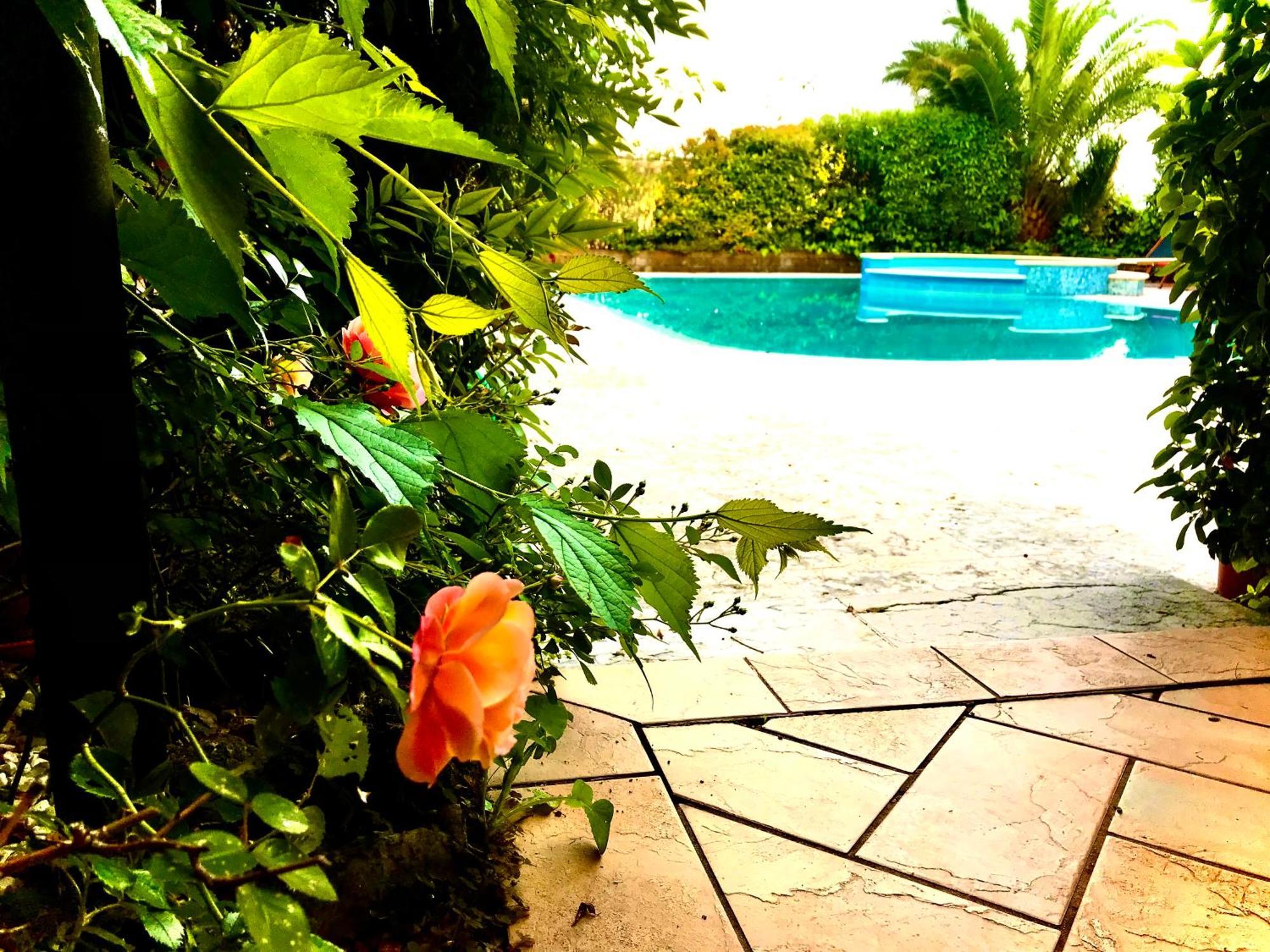 Villa Maria Apartments Moniga del Garda Exterior foto
